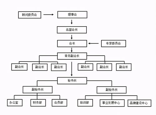 嗶哩嗶哩專(zhuān)欄在企業(yè)咨詢(xún)領(lǐng)域的應(yīng)用探索